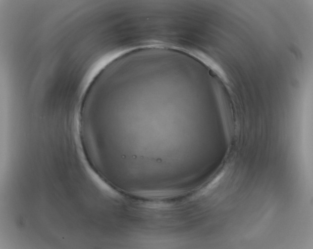 X0000113591239200910091453