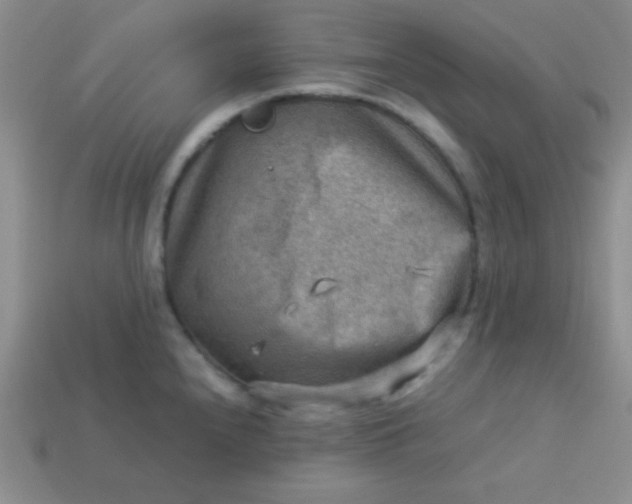 X0000113591240200910091453