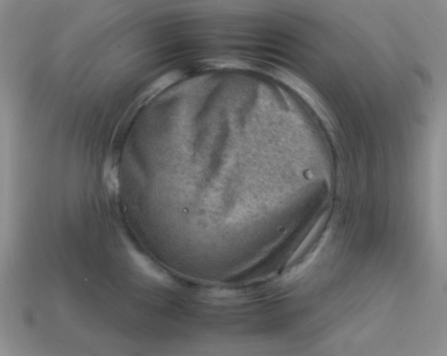 X0000113591241200910091453