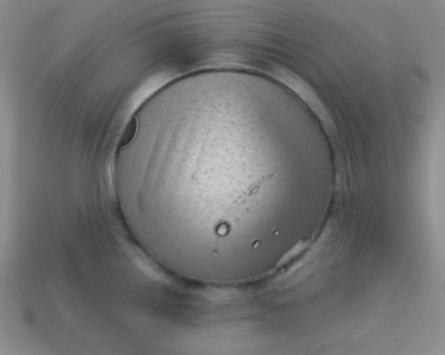 X0000113591242200910091453