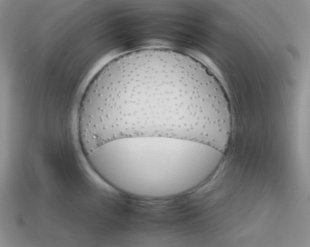 X0000113591243200910091453