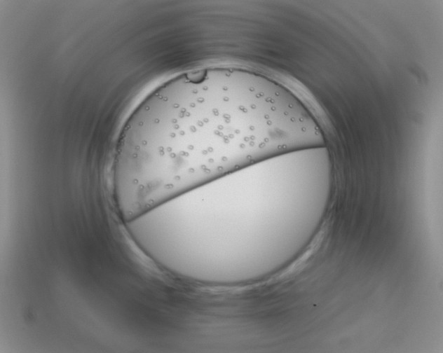 X0000113591244200910091453