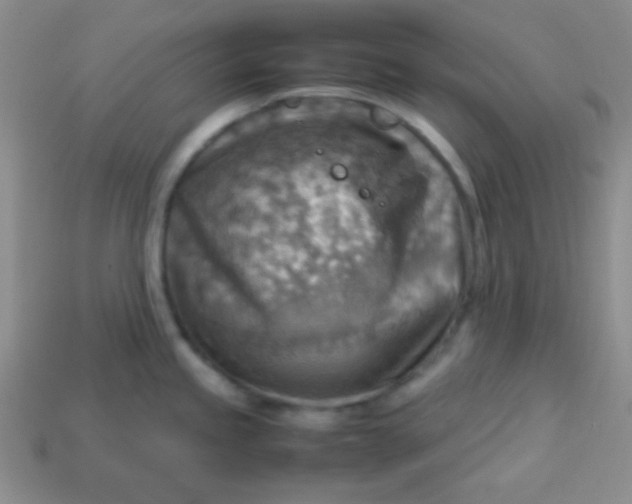 X0000113591245200910091453