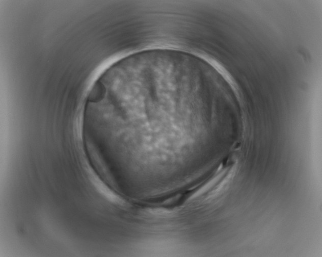 X0000113591246200910091453