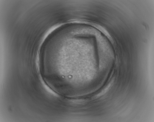 X0000113591247200910091453