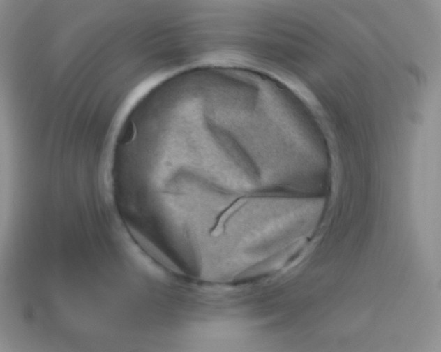 X0000113591248200910091453