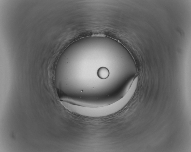 X0000113591249200910091452