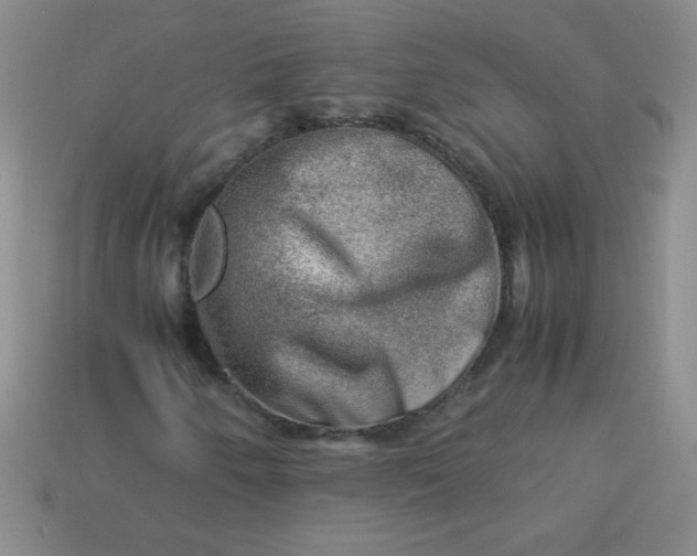 X0000113591250200910091452