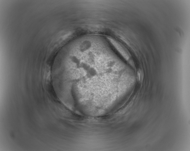 X0000113591251200910091452