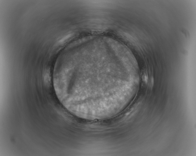 X0000113591252200910091452