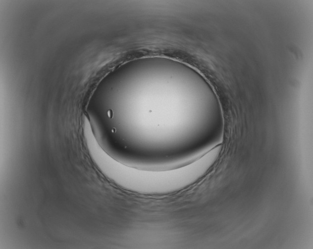 X0000113591253200910091452