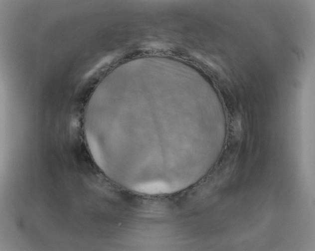 X0000113591254200910091452