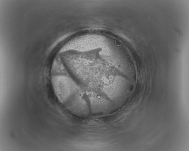 X0000113591255200910091452