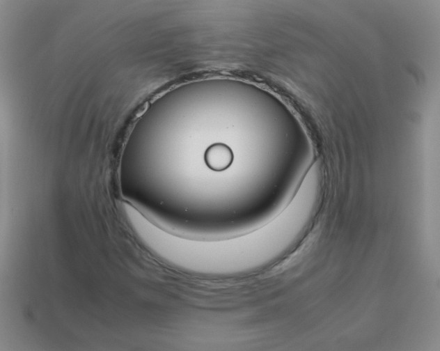 X0000113591257200910091452