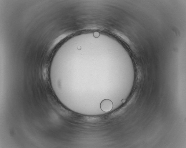 X0000113591258200910091452