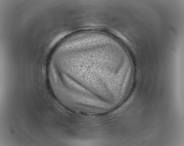 X0000113591259200910091452