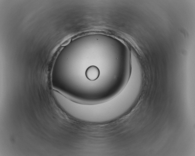 X0000113591260200910091452