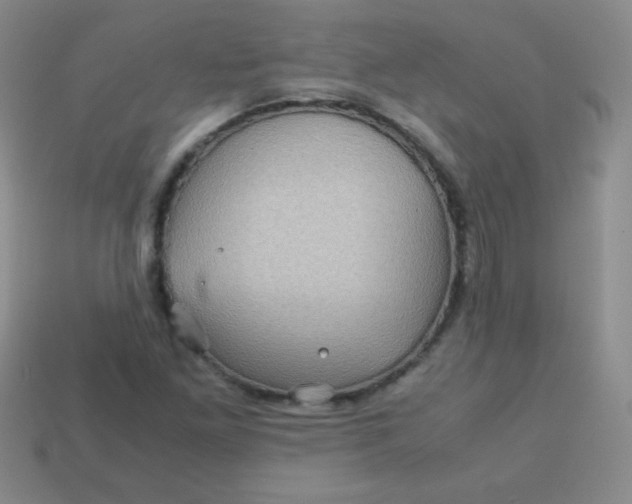 X0000113591261200910091452