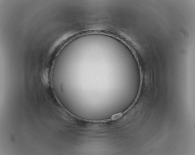 X0000113591262200910091452