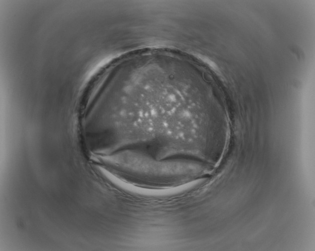 X0000113591263200910091452