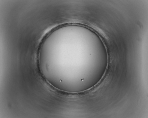 X0000113591264200910091452