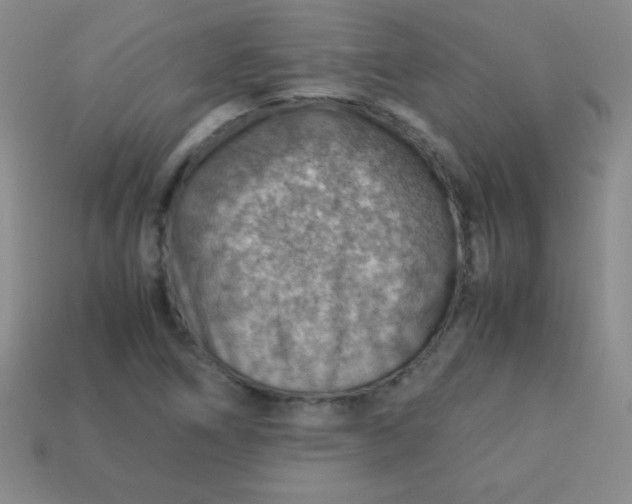 X0000113591266200910091452