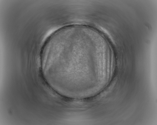 X0000113591267200910091452