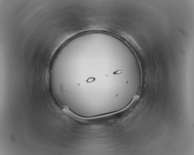 X0000113591268200910091452