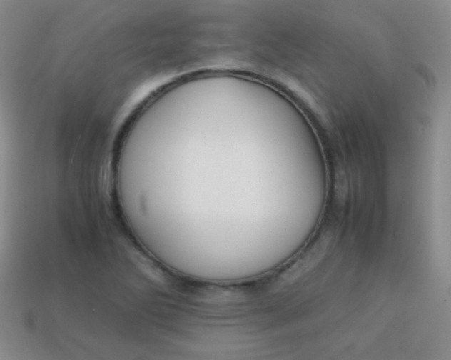 X0000113591270200910091452