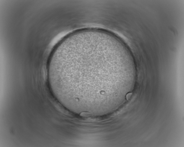 X0000113591271200910091452