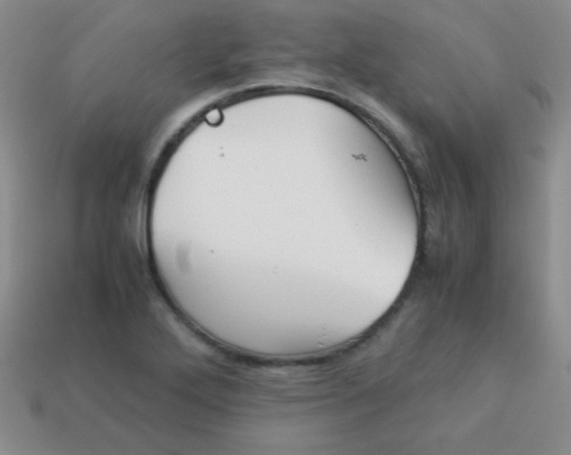 X0000113591272200910091452