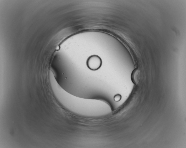 X0000113591273200910091452