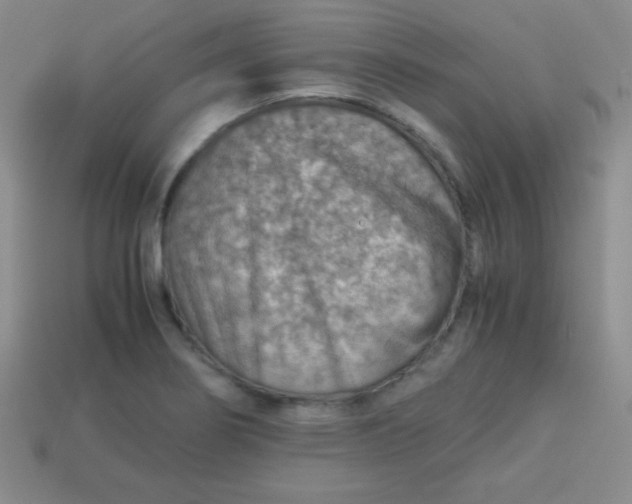 X0000113591274200910091452