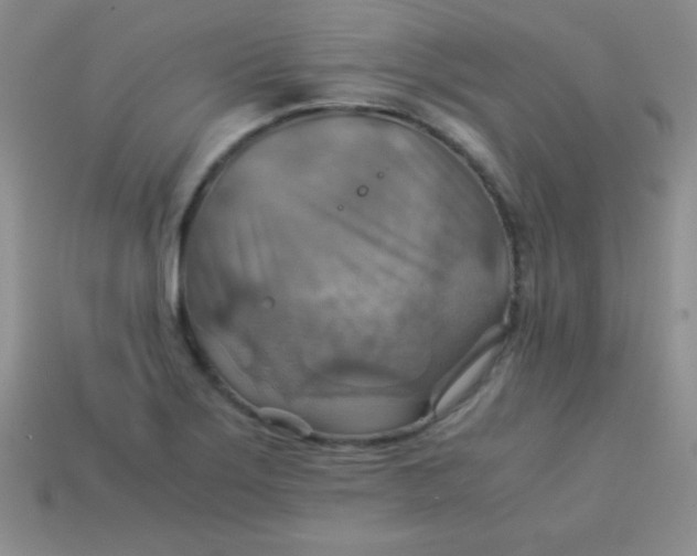 X0000113591275200910091452