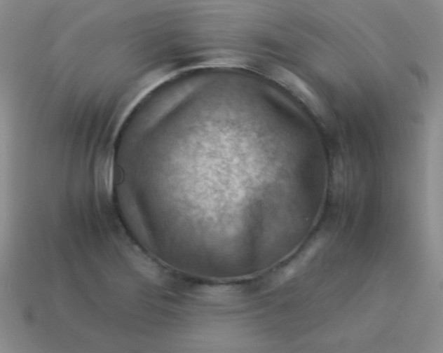 X0000113591276200910091452