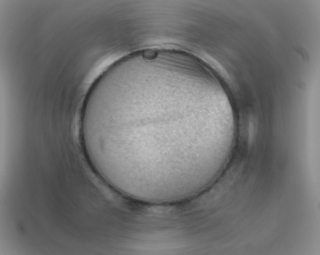 X0000113591277200910091452