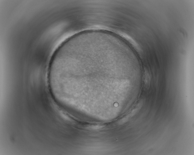 X0000113591278200910091452