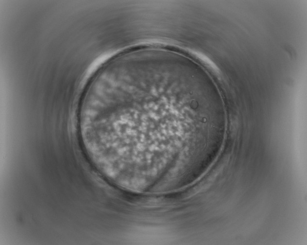 X0000113591279200910091452