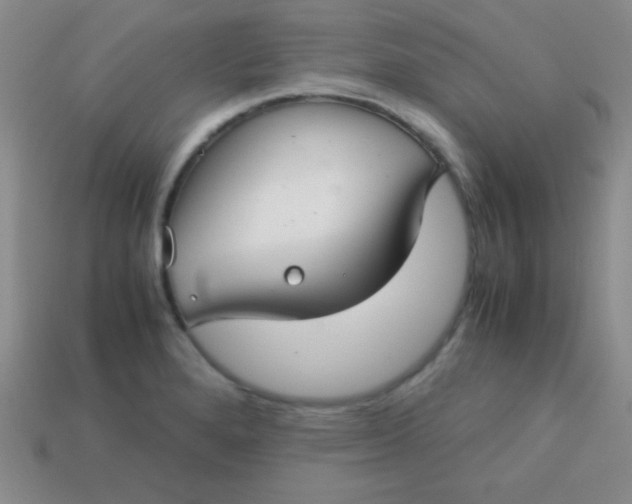 X0000113591280200910091452