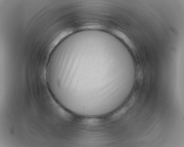 X0000113591282200910091452