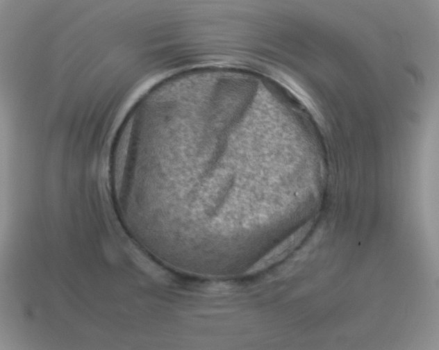 X0000113591283200910091452