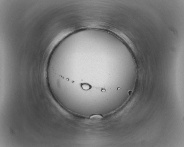 X0000113591285200910091452