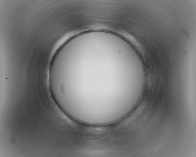 X0000113591286200910091452