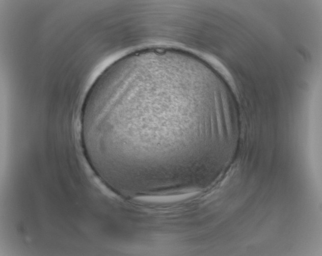 X0000113591287200910091452