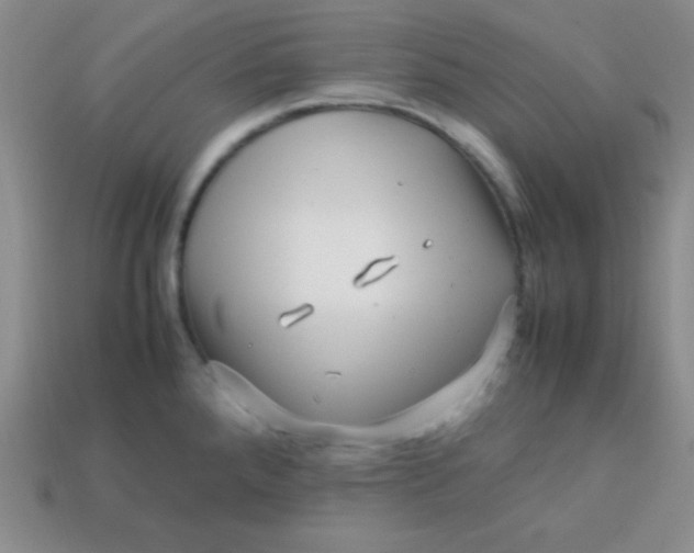 X0000113591288200910091452