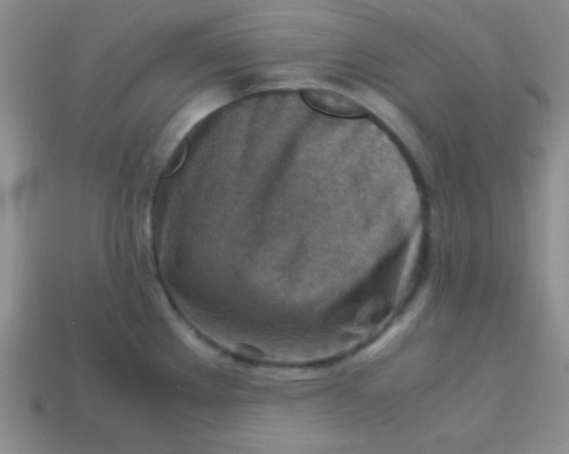 X0000113591289200910091452