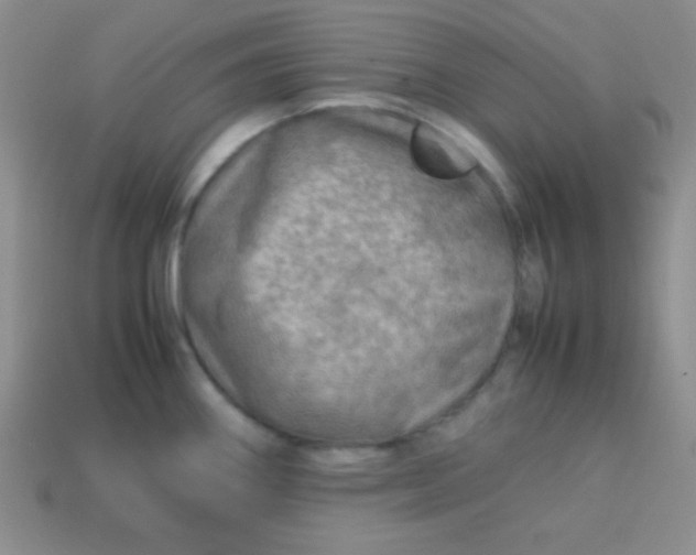 X0000113591290200910091452