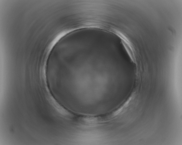 X0000113591291200910091452