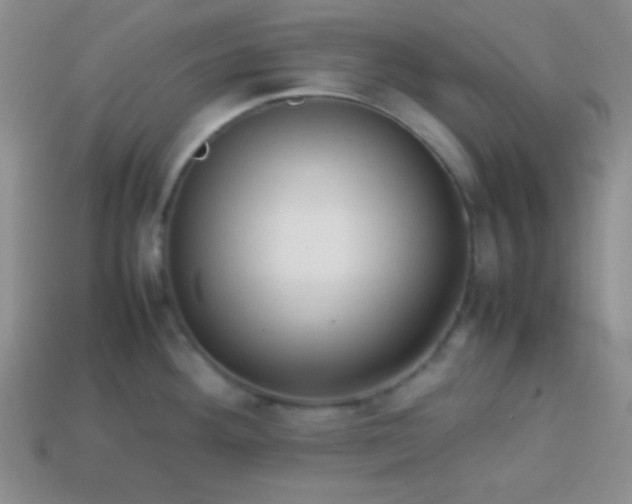 X0000113591292200910091452