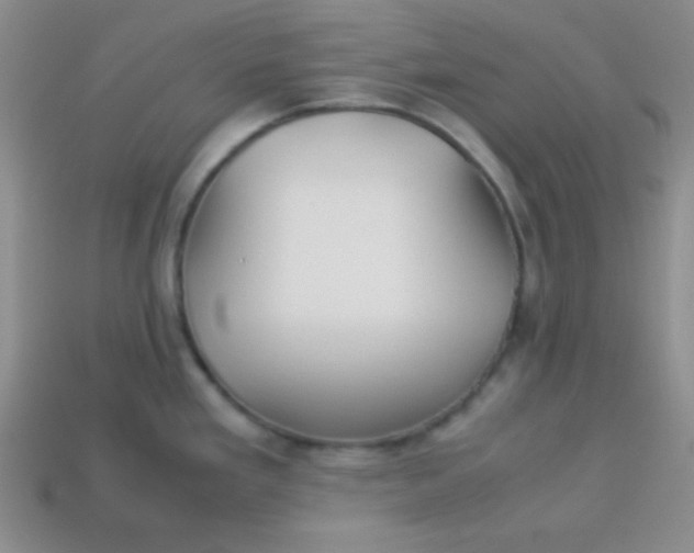 X0000113591293200910091452